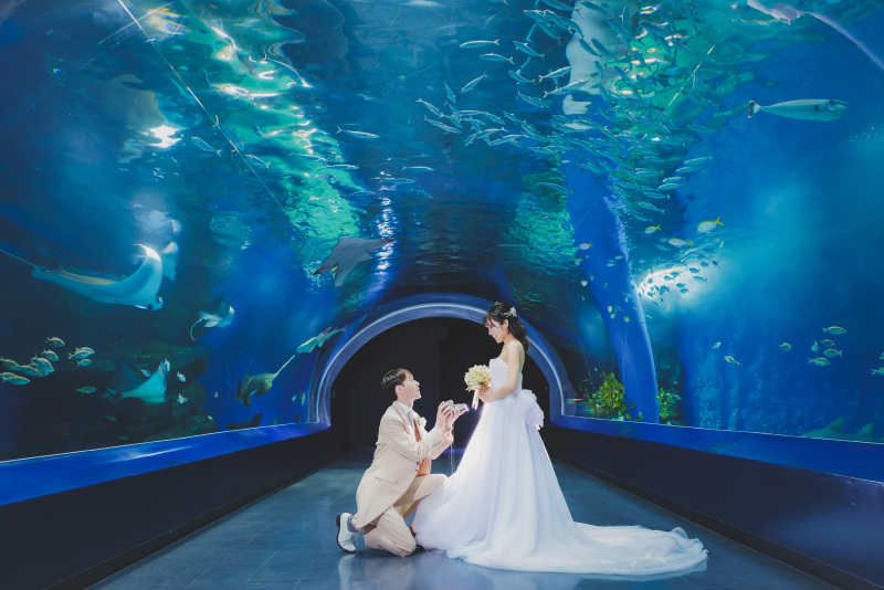 まずは水族館へ