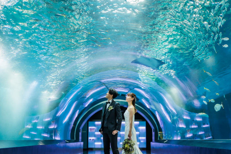 ワンダーチューブ