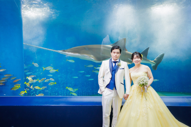 ワンダーチューブ②