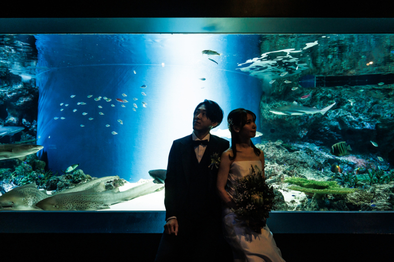 シルエット撮影