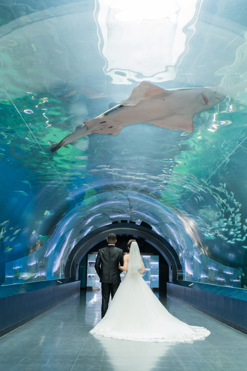 大迫力バックショット