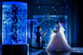 【洋装】幻想的な撮影空間！