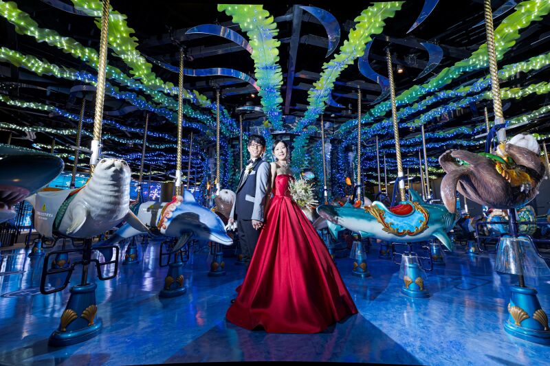 メリーゴーランド♪