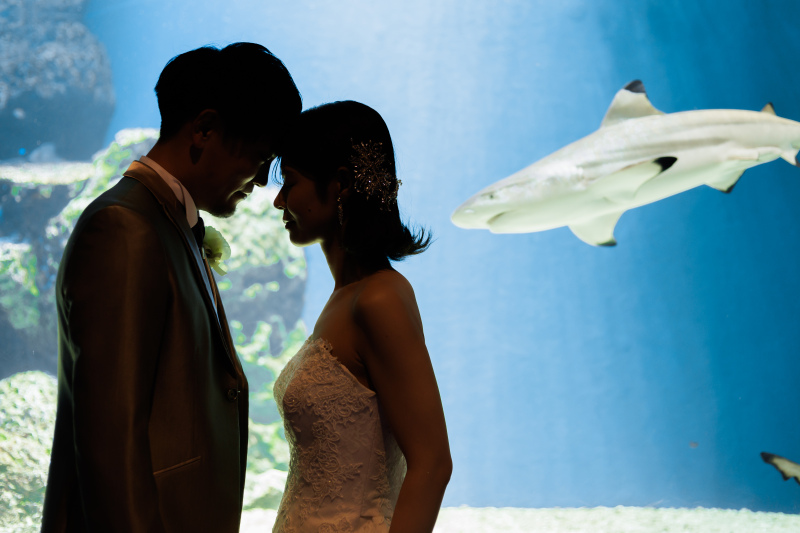 シルエット撮影