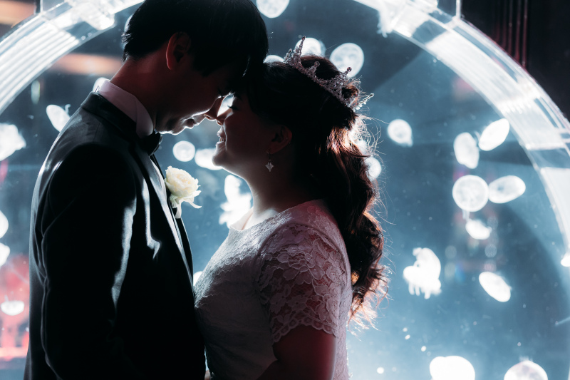 シルエットショット