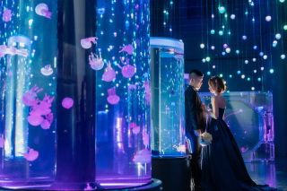 【洋装】アクアパーク品川【和装】スタジオ