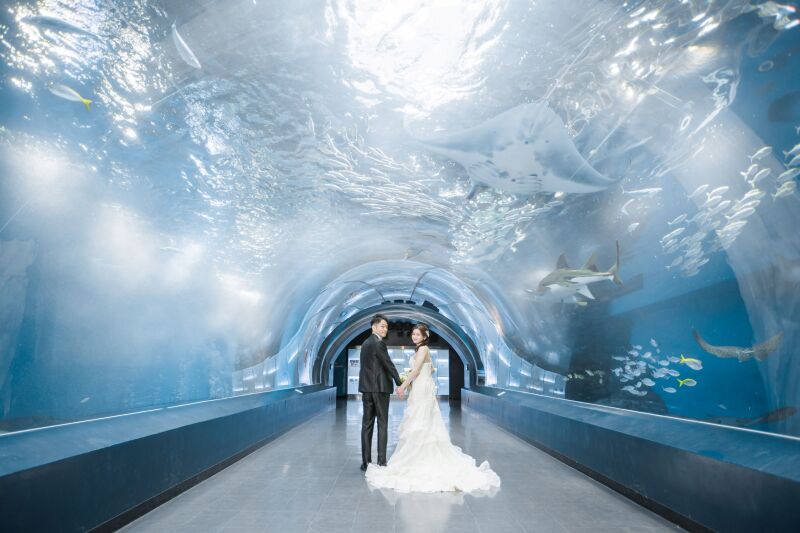 ワンダーチューブ