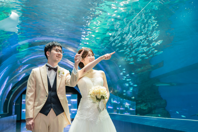 ワンダーチューブ