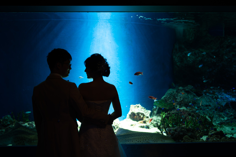 シルエットショット