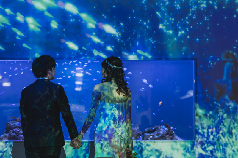 プロジェクションマッピング