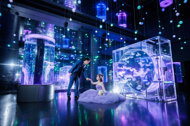 クラゲと幻想的なカット