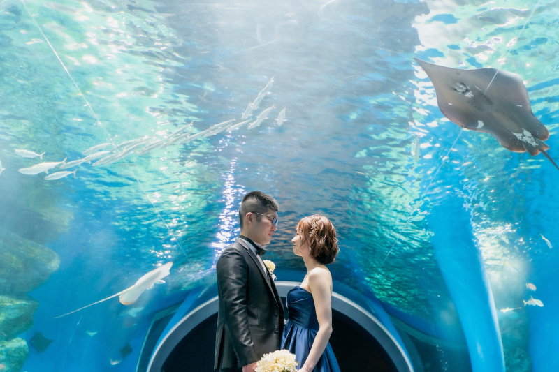 ワンダーチューブ