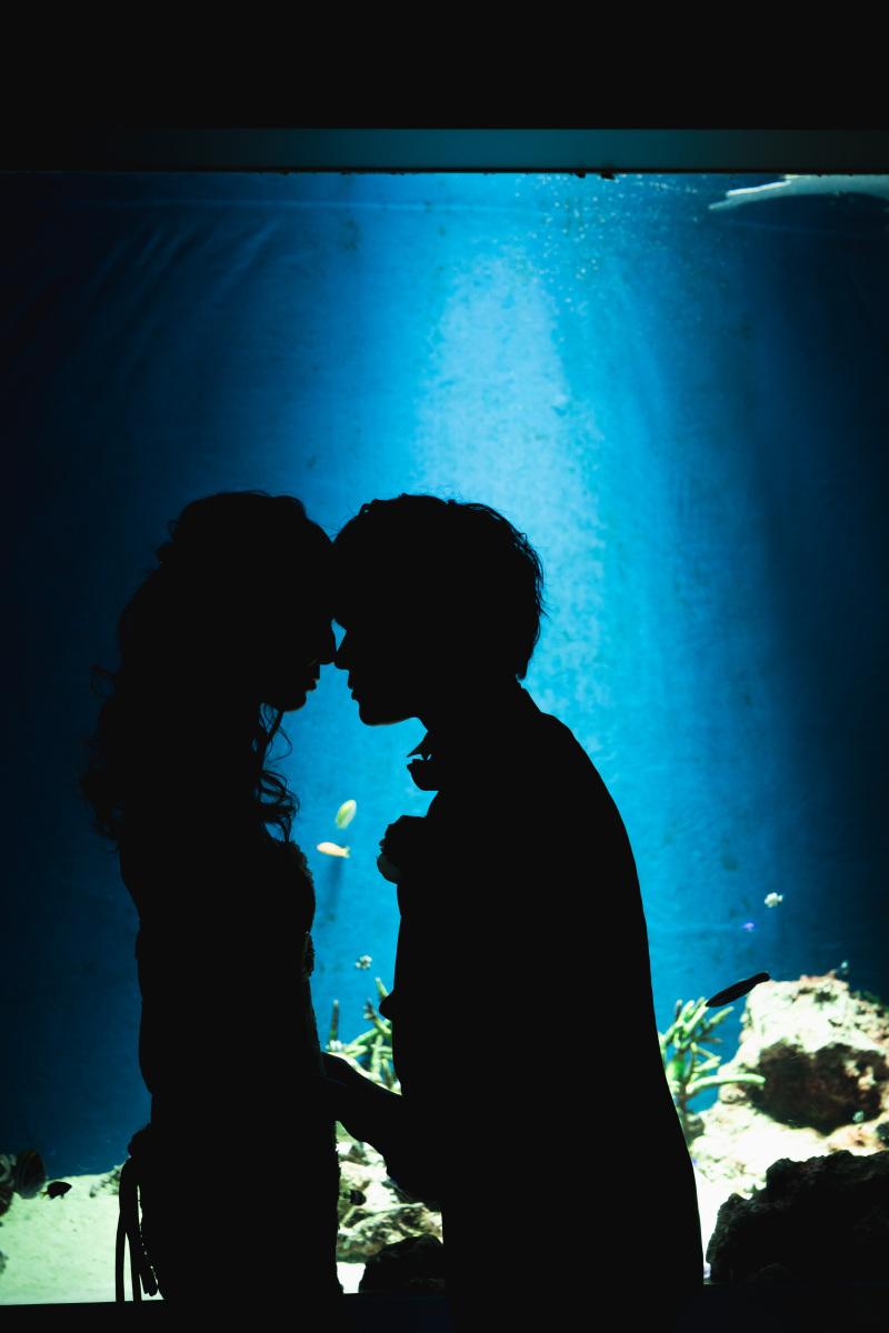 シルエットショット