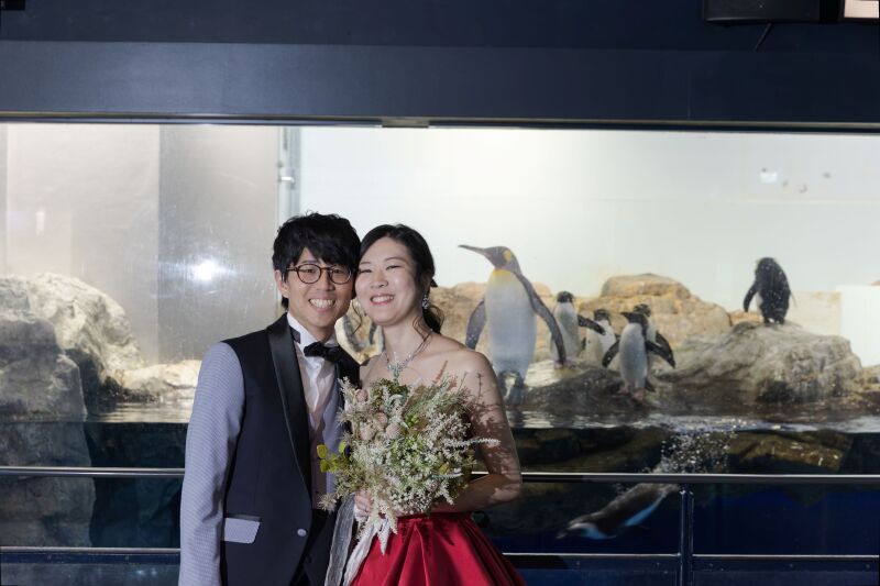 ペンギンさんと