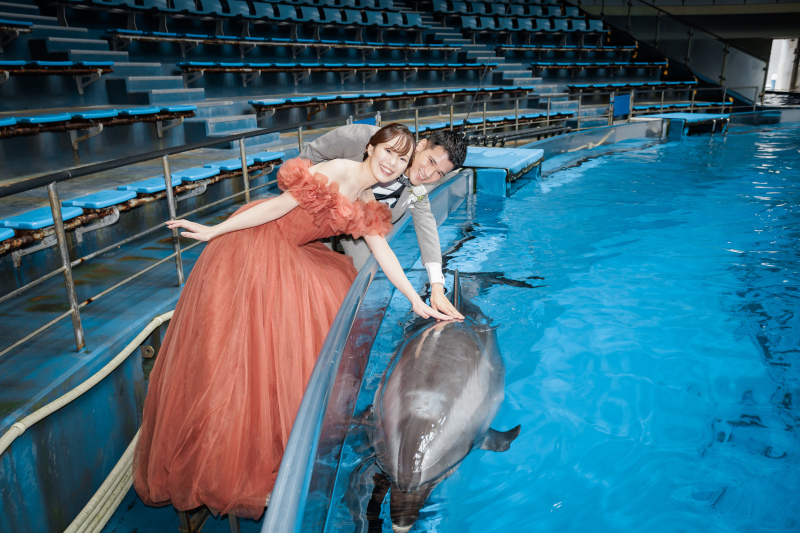 イルカとタッチ