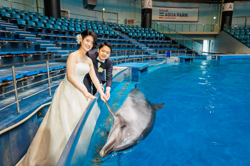 イルカタッチも