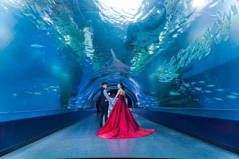 大きなトンネルで