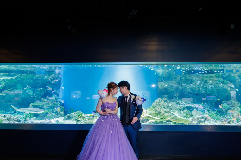 リトルパラダイス