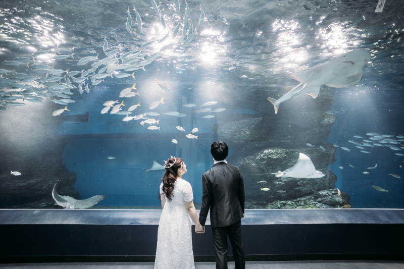 ワンダーチューブ