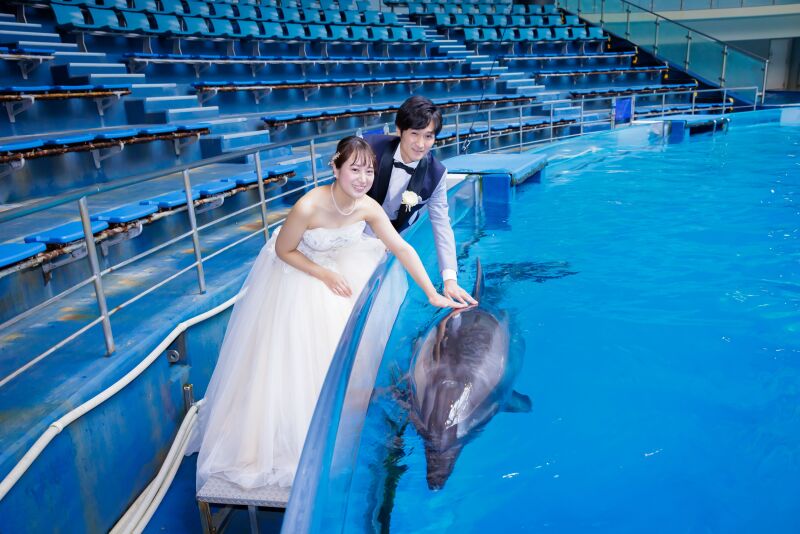 イルカとタッチ