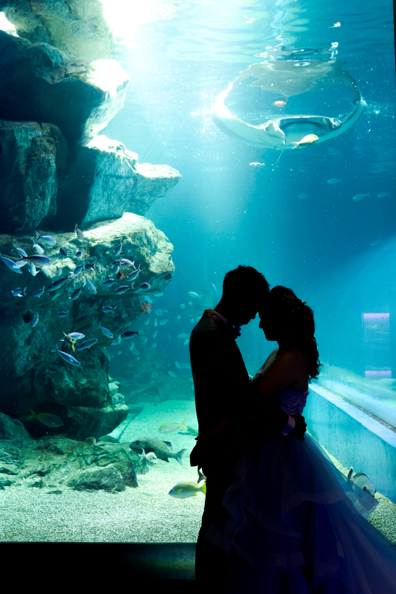 シルエットショット