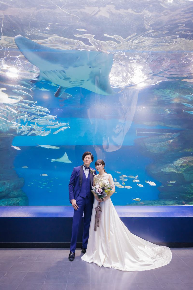 ワンダーチューブ