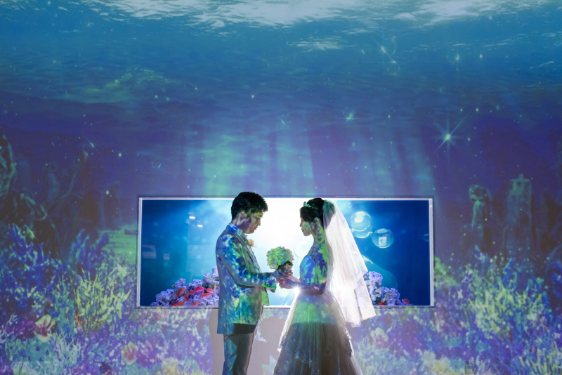 プロジェクションマッピング