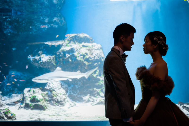 シルエット撮影