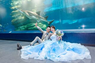 【洋装】カラードレスで水族館フォト☆