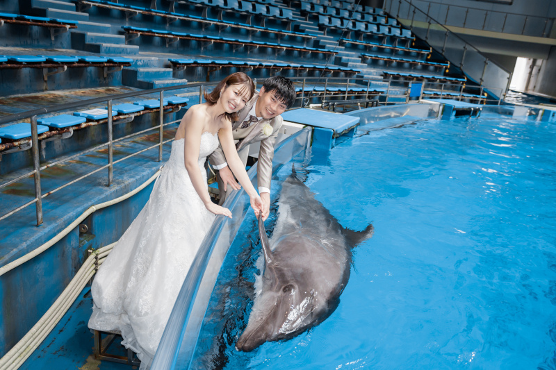 イルカと握手☆