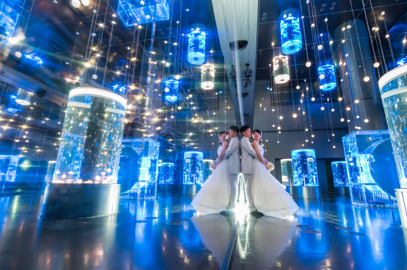 クラゲエリア２