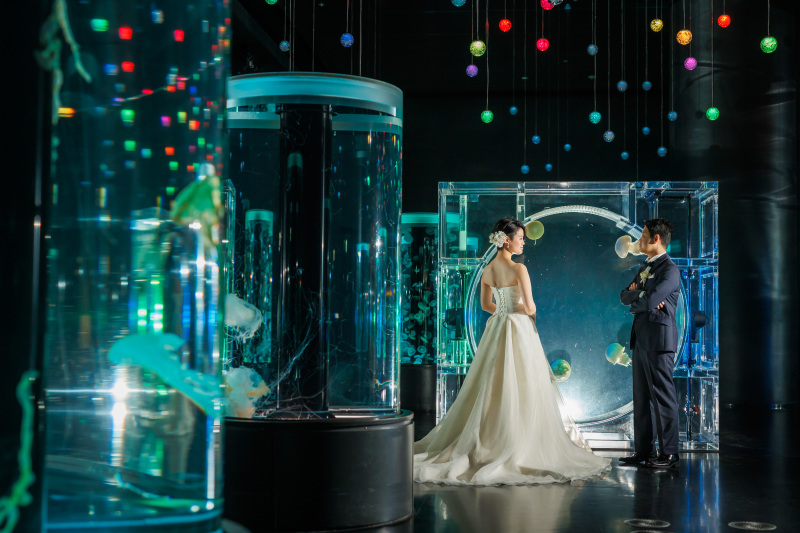 ジェリーフィッシュランブルへ