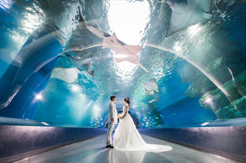 海の中のようなトンネルで♪