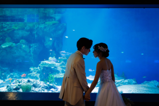 【洋装】特別な日をアクアパーク品川で！