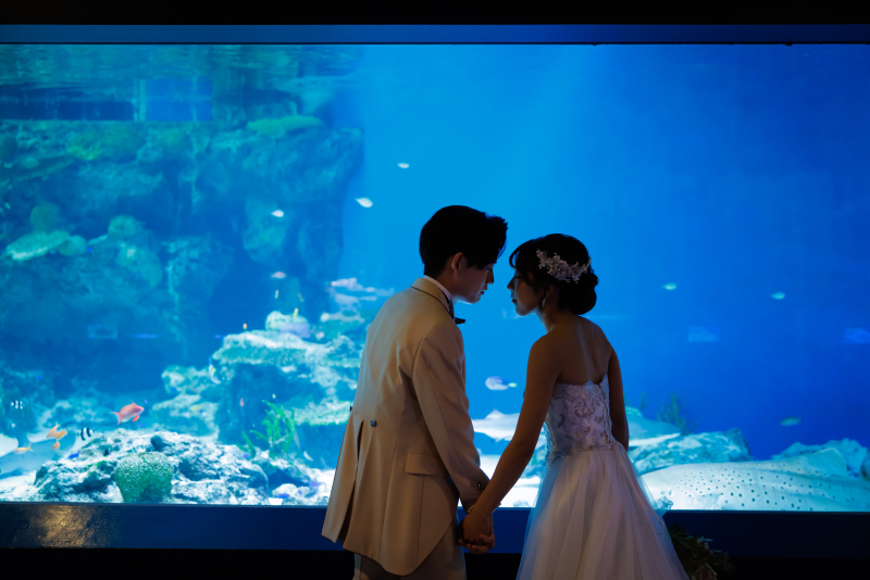 【洋装】特別な日をアクアパーク品川で！