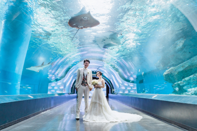 ワンダーチューブ