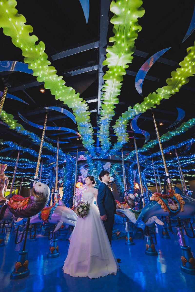 海のいきものたちと