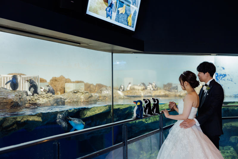 大好きなペンギンたちと！