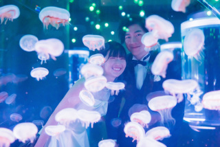 【洋装】冬のアクアパーク撮影