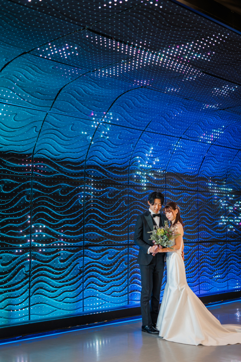 煌びやかな世界