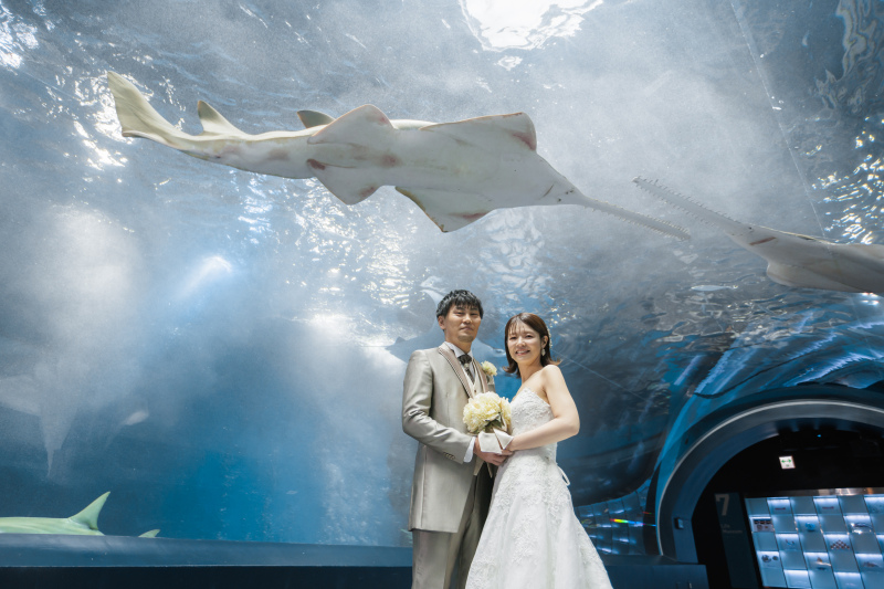 サメからも祝福を