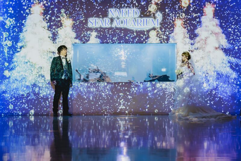 ウェルカム水槽