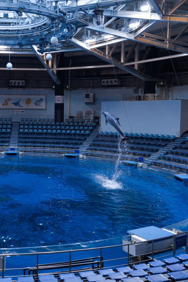 祝福のジャンプ