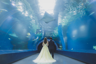 【洋装】貸し切り水族館でのフォトウエディング☆