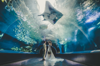 水族館でのオリジナルフォト