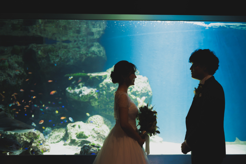 シルエットショット