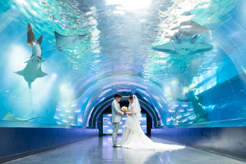 ワンダーチューブ