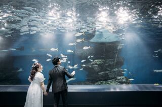 【洋装】水族館でおふたりらしさ溢れる撮影♪