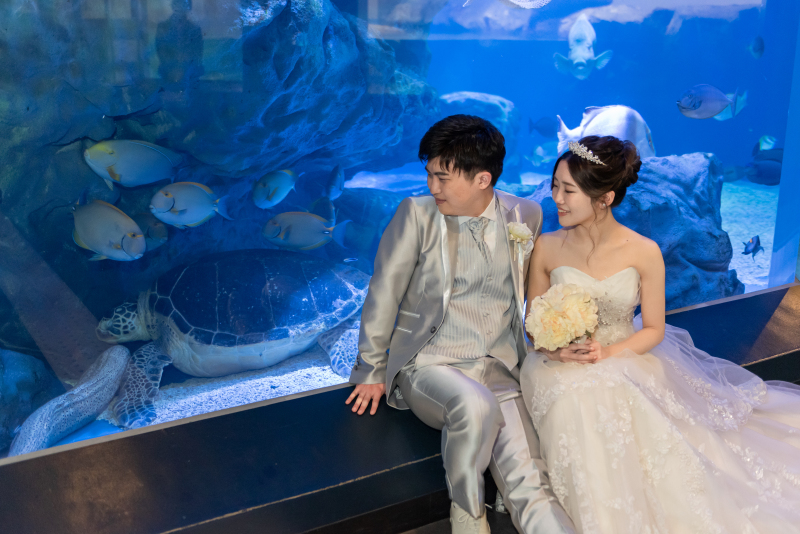 大好きなウミガメと