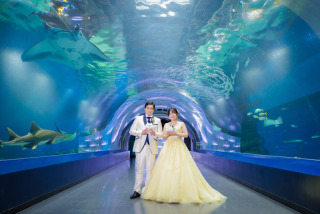 【洋装】カラードレスを着てアクアパーク撮影